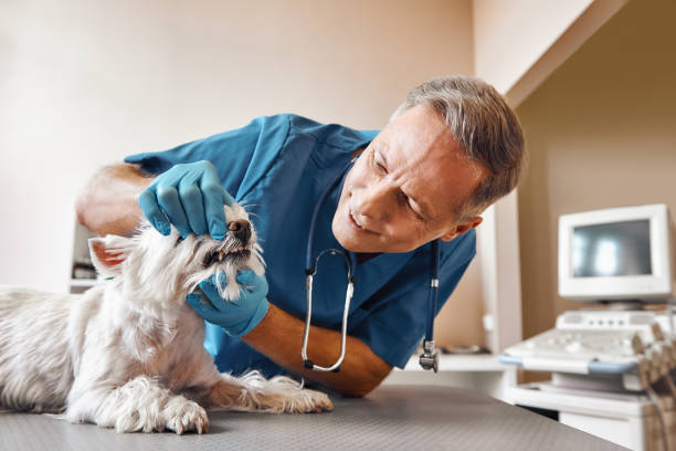 Best 24-Hour Emergency Dental Care in Kinsley, KS